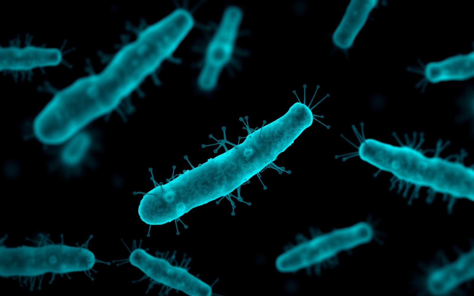 Microbiome bacteria imagery